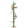 PAWZ Road Cactus Floor to Ceiling Cat Tree - 5-Tier Adjustable Tower