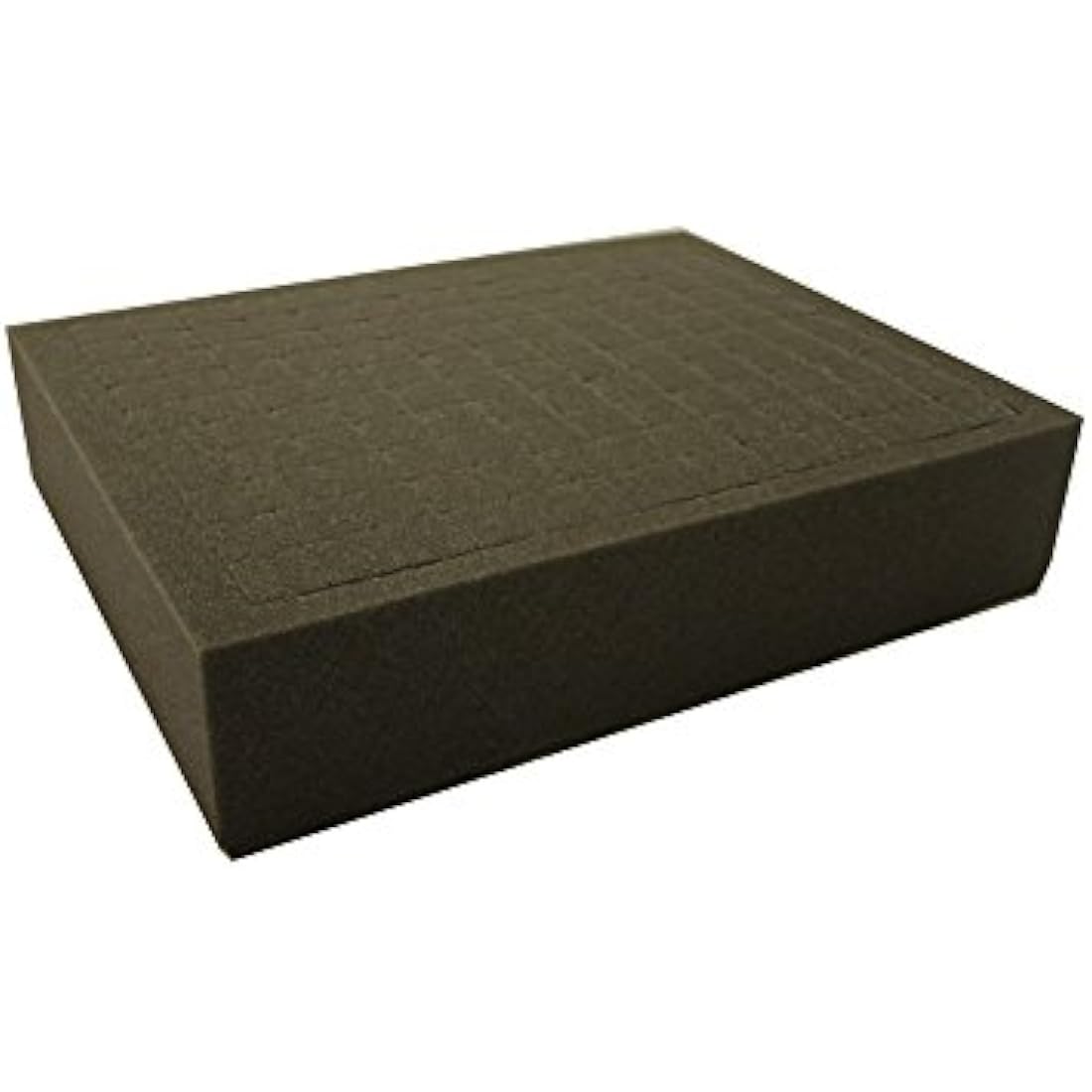 Tyrant Army Miniature Figure Case with Foam Trays |