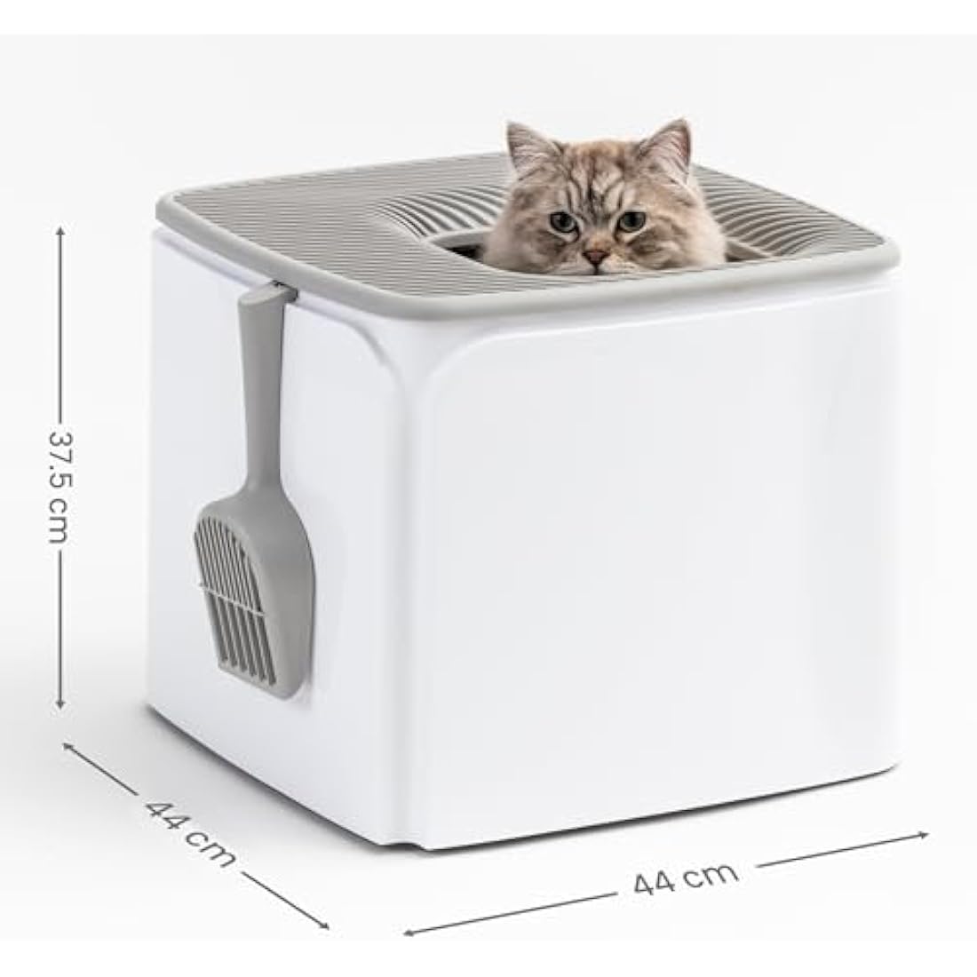 IRIS USA Top Entry Cat Litter Box with Scoop – Odor Control, White