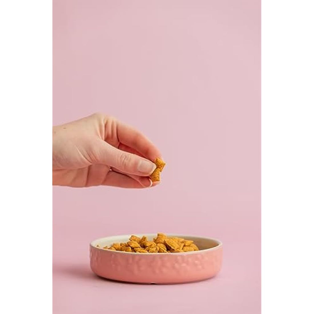 Mason Cash Pink Cat Saucer – 13cm Durable Stoneware Pet Food Bowl