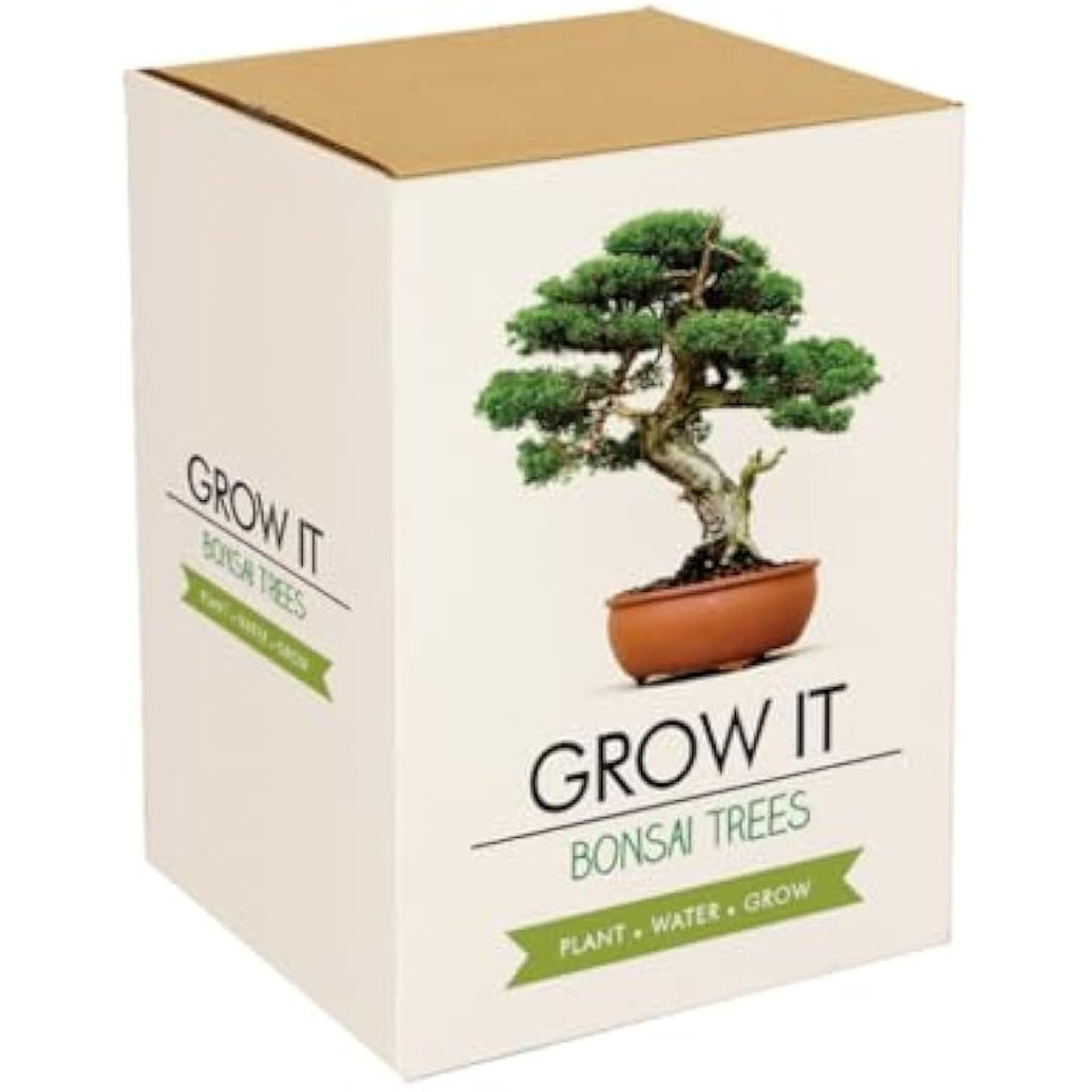 Gift Republic Grow Your Own Bonsai Tree Kit - DIY Gardening Gift Set