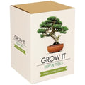 Gift Republic Grow Your Own Bonsai Tree Kit - DIY Gardening Gift Set