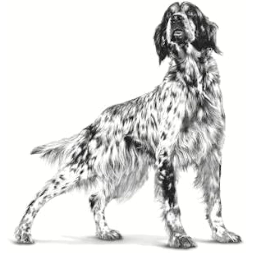 Royal Canin Pill Assist for Medium and Large Dogs - Chicken Flavor 224g