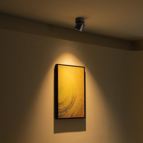 Aisilan 9W Dimmable LED Spotlight | Matte Black Adjustable Ceiling Light