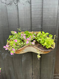 Wall Planters / Cattle Feeder / Hanging Basket / Herb Planter / Plant Pot