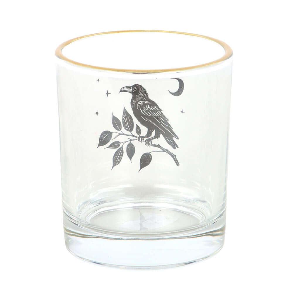 Kate's Clothing Mystic Raven Gothic Drinking Glass - 350ml Celestial Cup