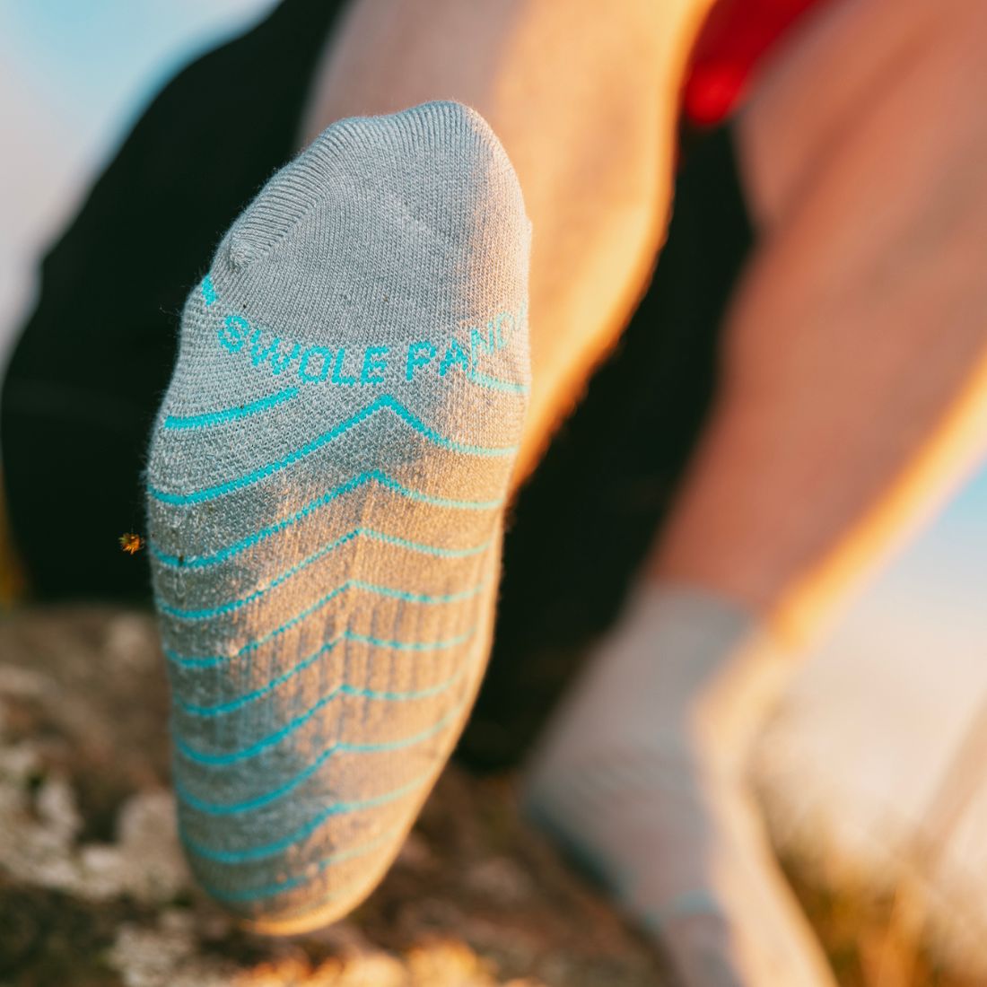 Swole Panda Grey Performance Trainer Socks | Bamboo Cushioned Athletic Socks