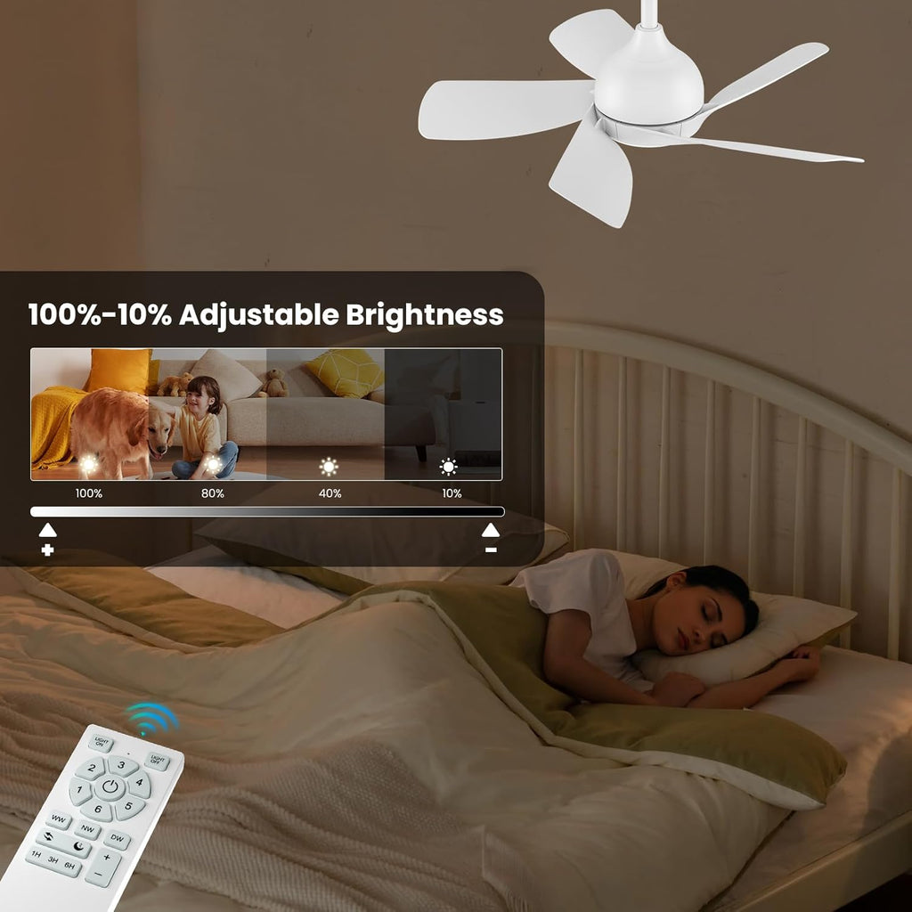 CJOY 30" Ceiling Fan with Light | Quiet DC Motor 5-Blade Modern White Fan