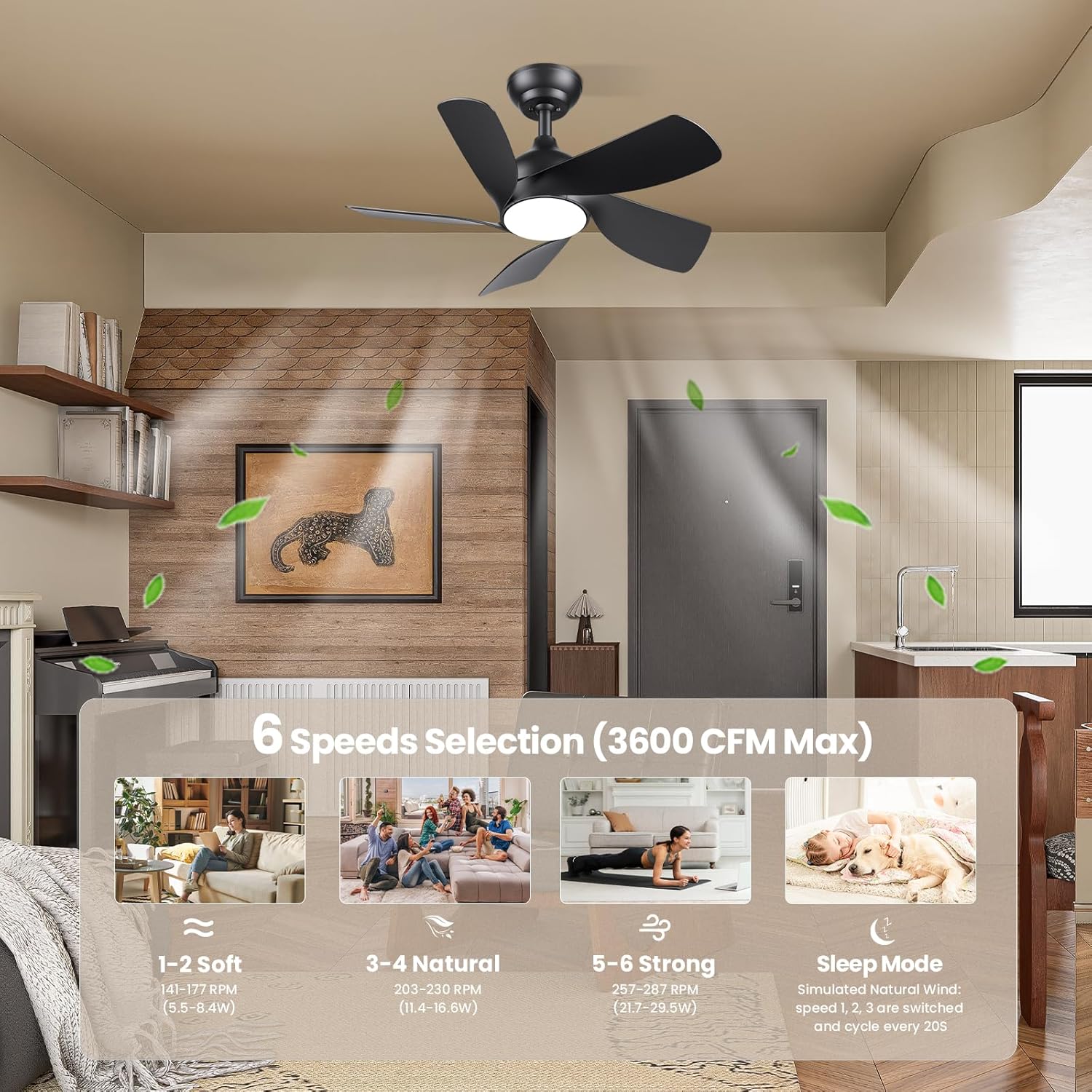 CJOY 30" Ceiling Fan with Light | Quiet DC Motor 5-Blade Modern Fan