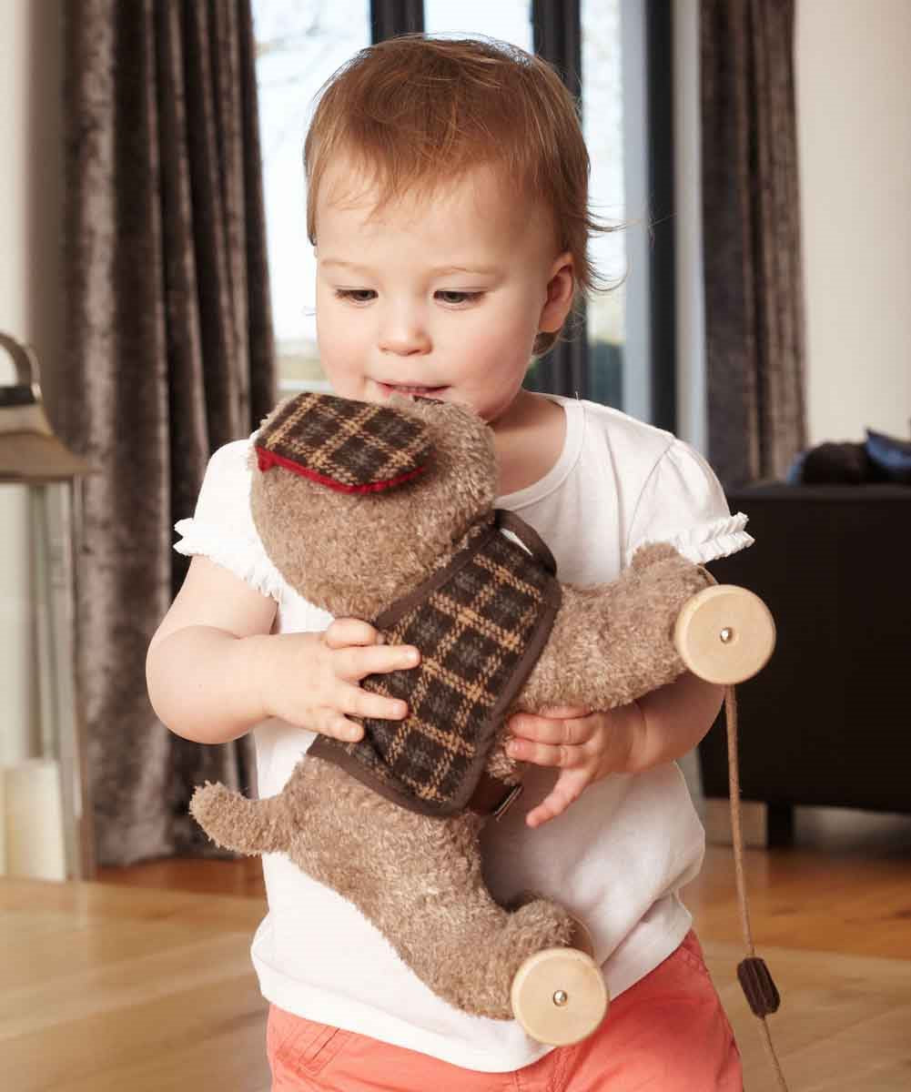 Little Bird Told Me Percy Pup 2-in-1 Pull Along Toy