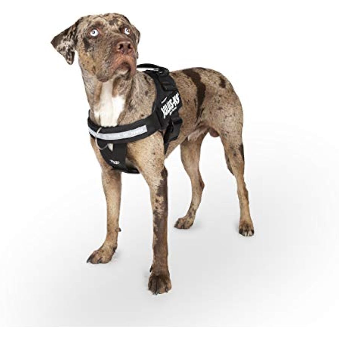 Julius-K9 IDC Powerharness Dog Harness | Reflective Black | Size S/Mini