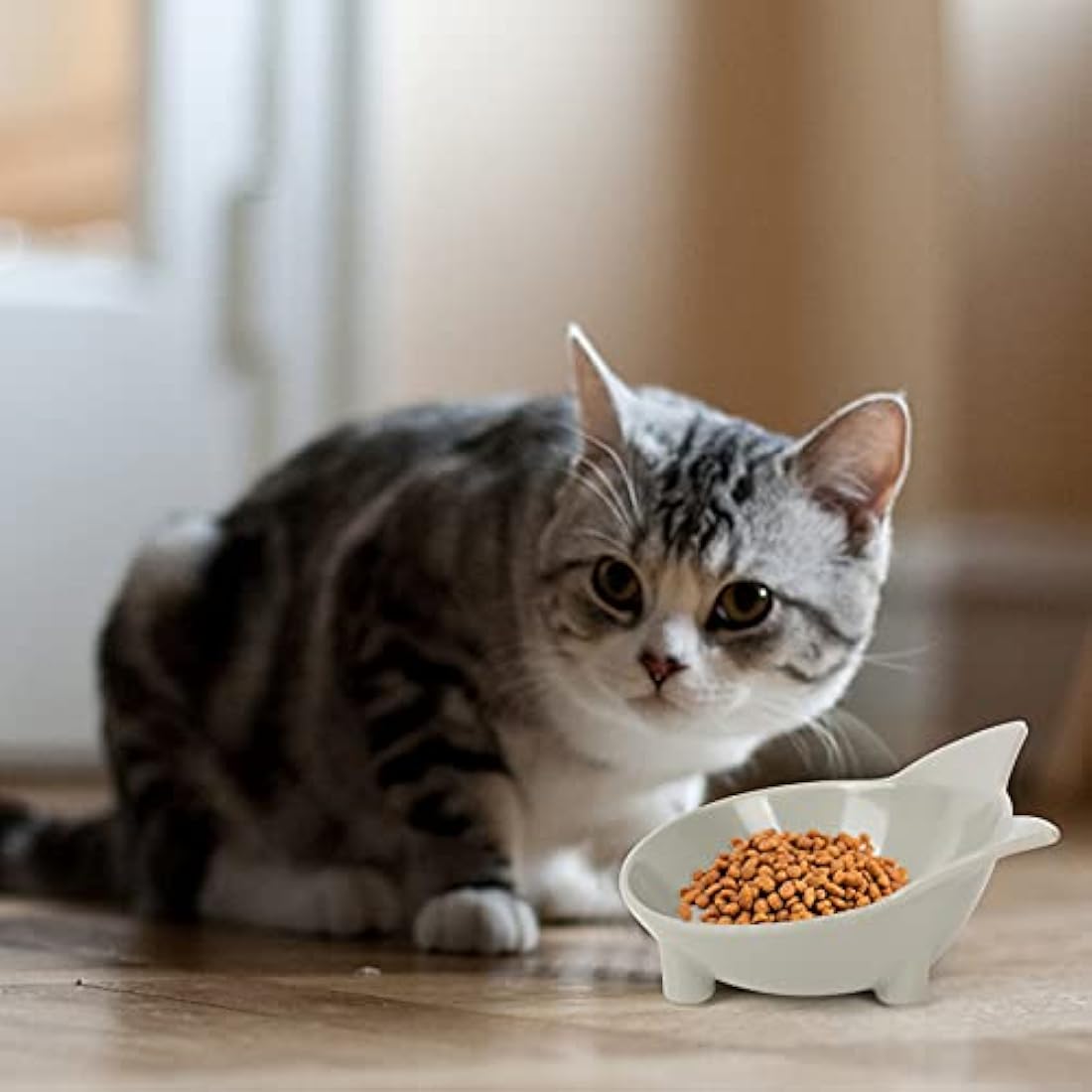 Cotill Cat Bowls – Set of 3 Non-Toxic Melamine Anti-Slip Pet Feeders