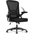 naspaluro Ergonomic Mesh Office Chair with Flip-up Arms & Lumbar Support