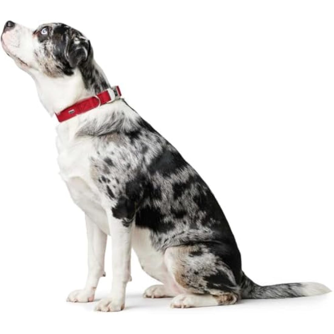 Hunter Softie Alu-Strong Dog Collar – Red Nubuck-Look – 45-65 cm