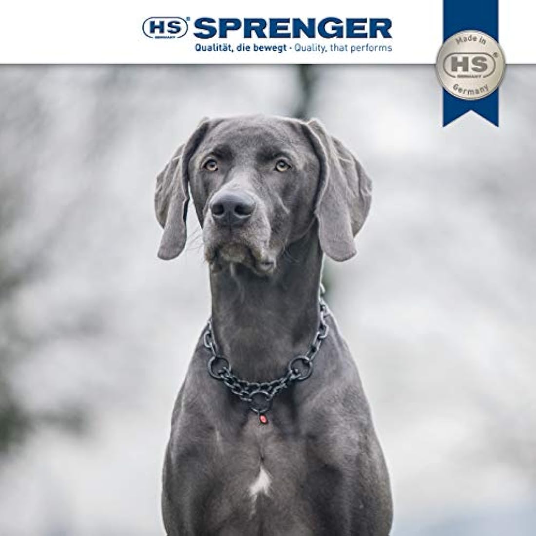 Sprenger Stainless Steel Dog Necklace – Black Training Collar for Dogs 55cm