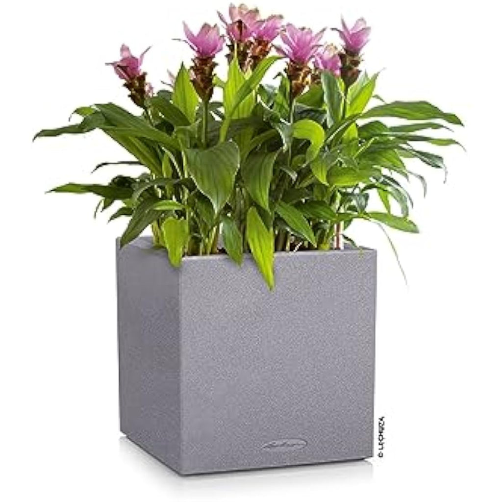 Lechuza CANTO Stone 40 Low Self-Watering Planter | Stone Gray Plastic