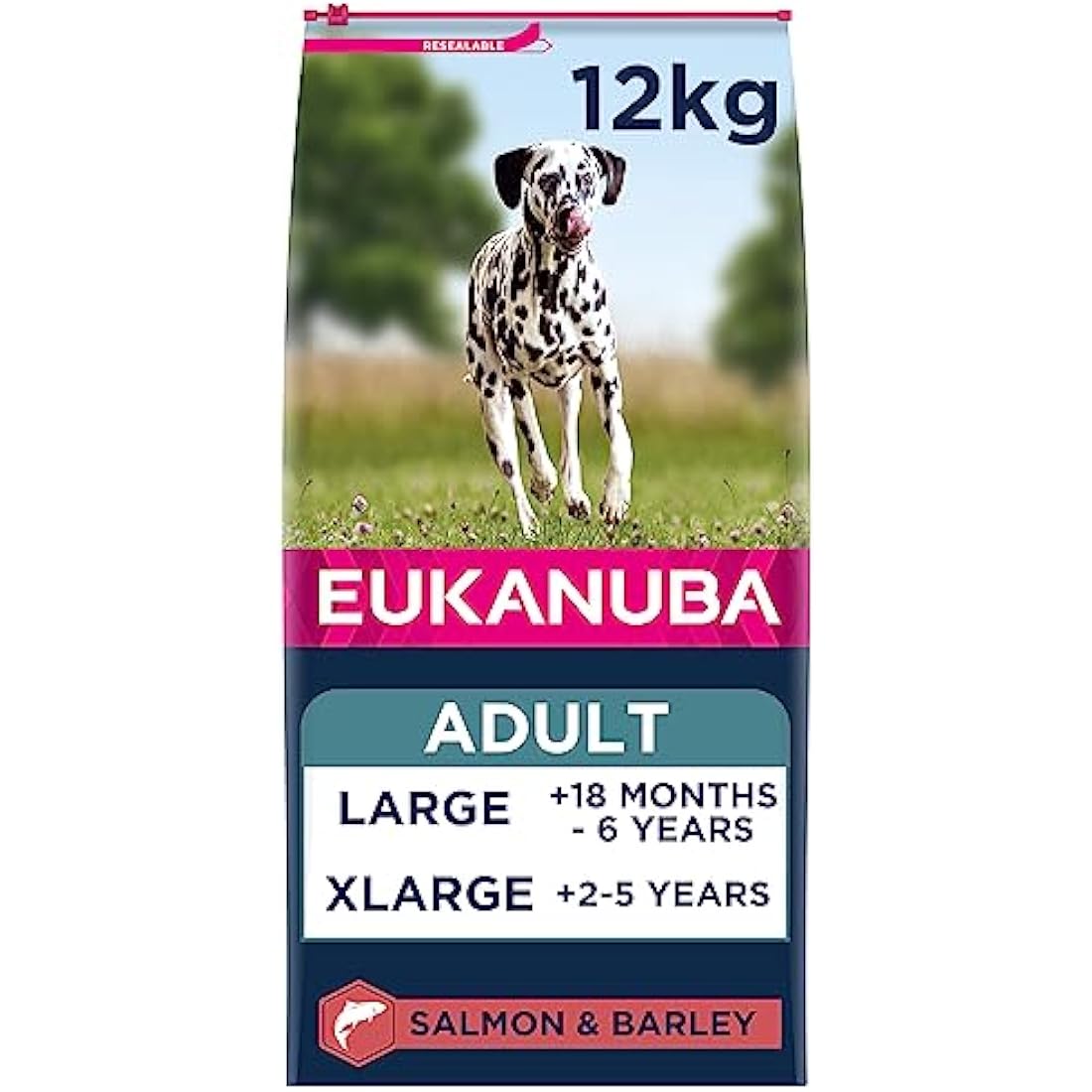 Eukanuba Adult Large Breed Dry Dog Food – Salmon & Barley, 12 kg