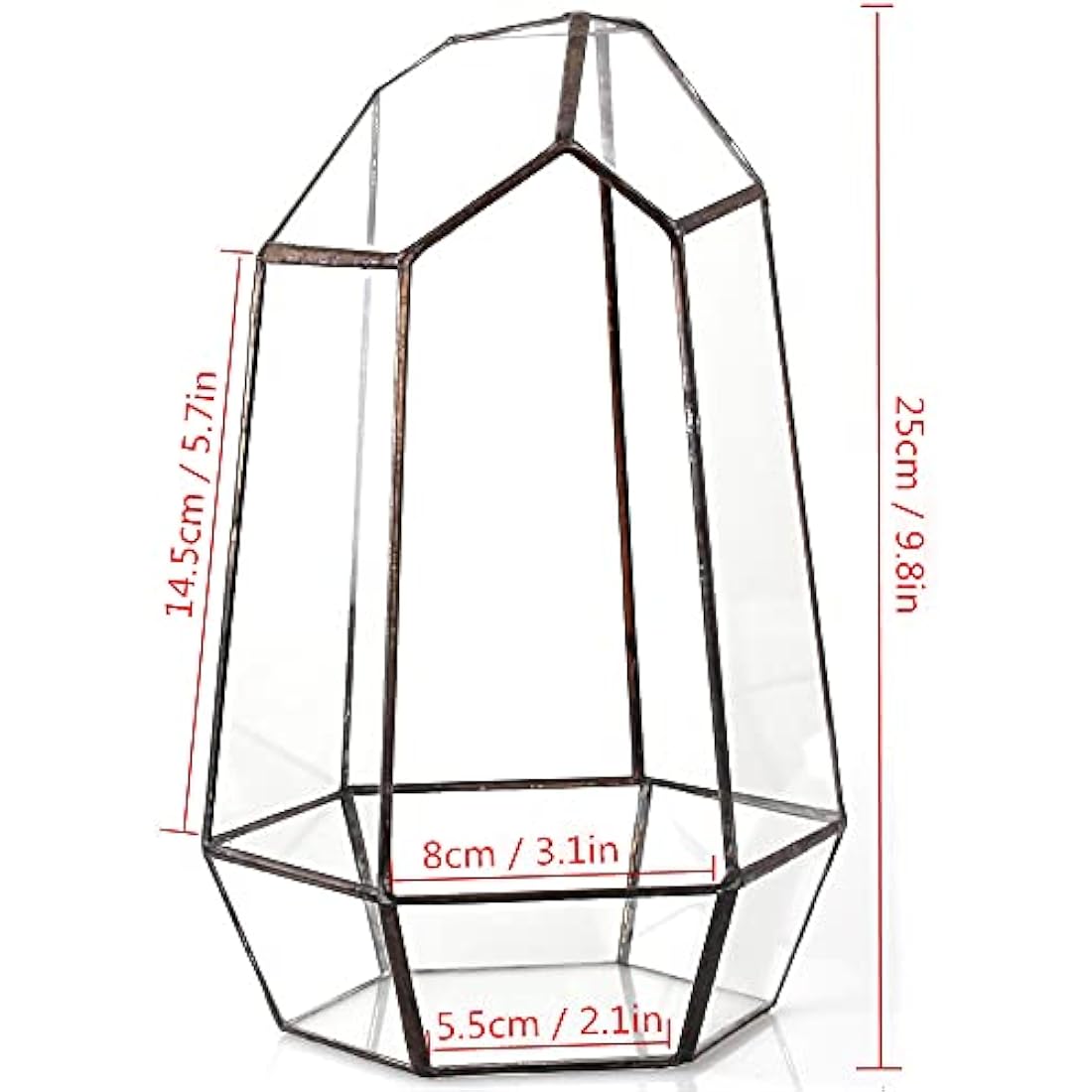 NCYP Geometric Glass Terrarium – Irregular Succulent Planter, Black