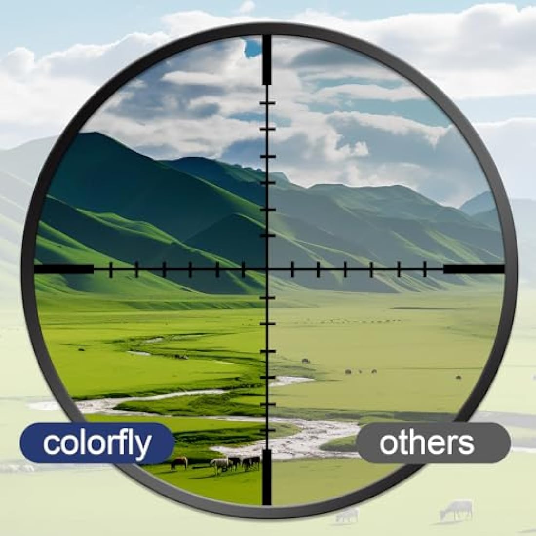 Colorfly TN-247 TN-243 Compatible Toner for Brother MFC-L3750CDW (4 Pack)