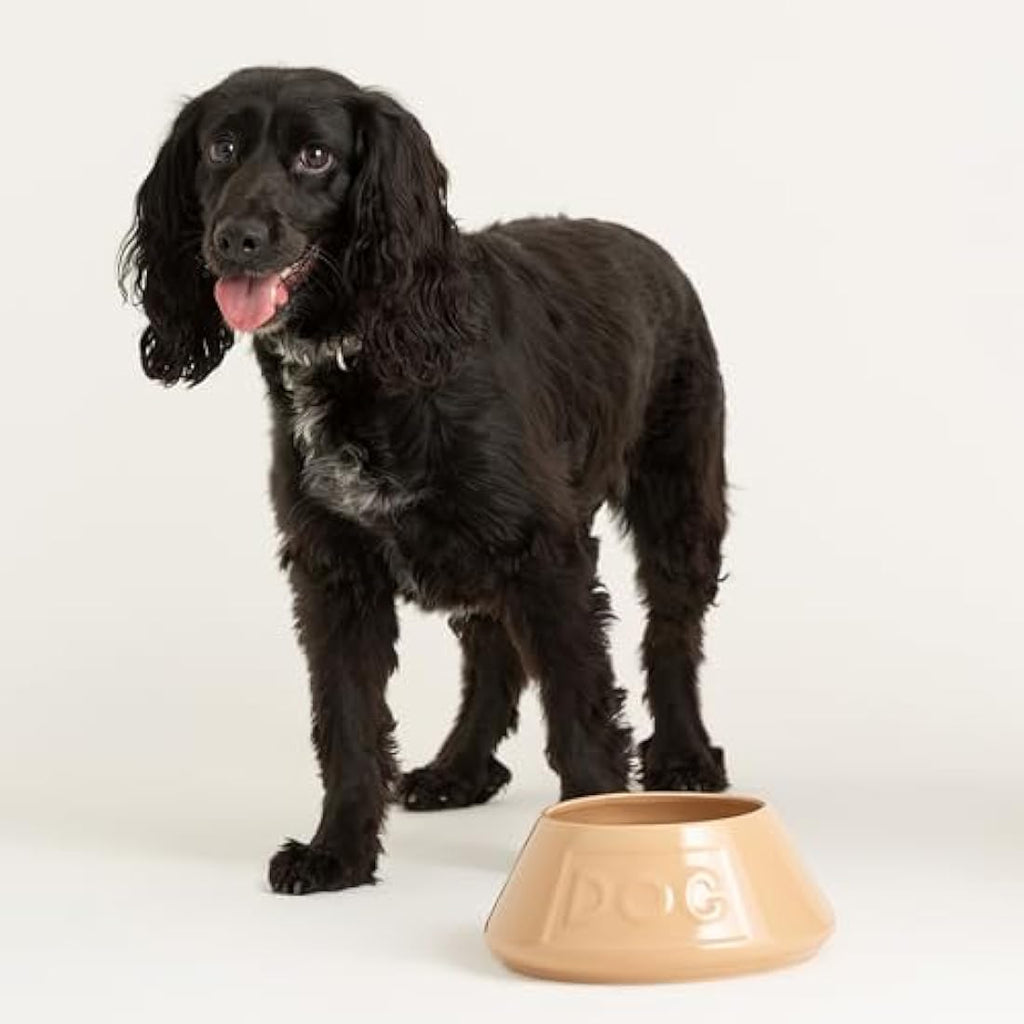 Mason Cash Cane Non-Tip Stoneware Dog Bowl - 21cm Large Pet Bowl
