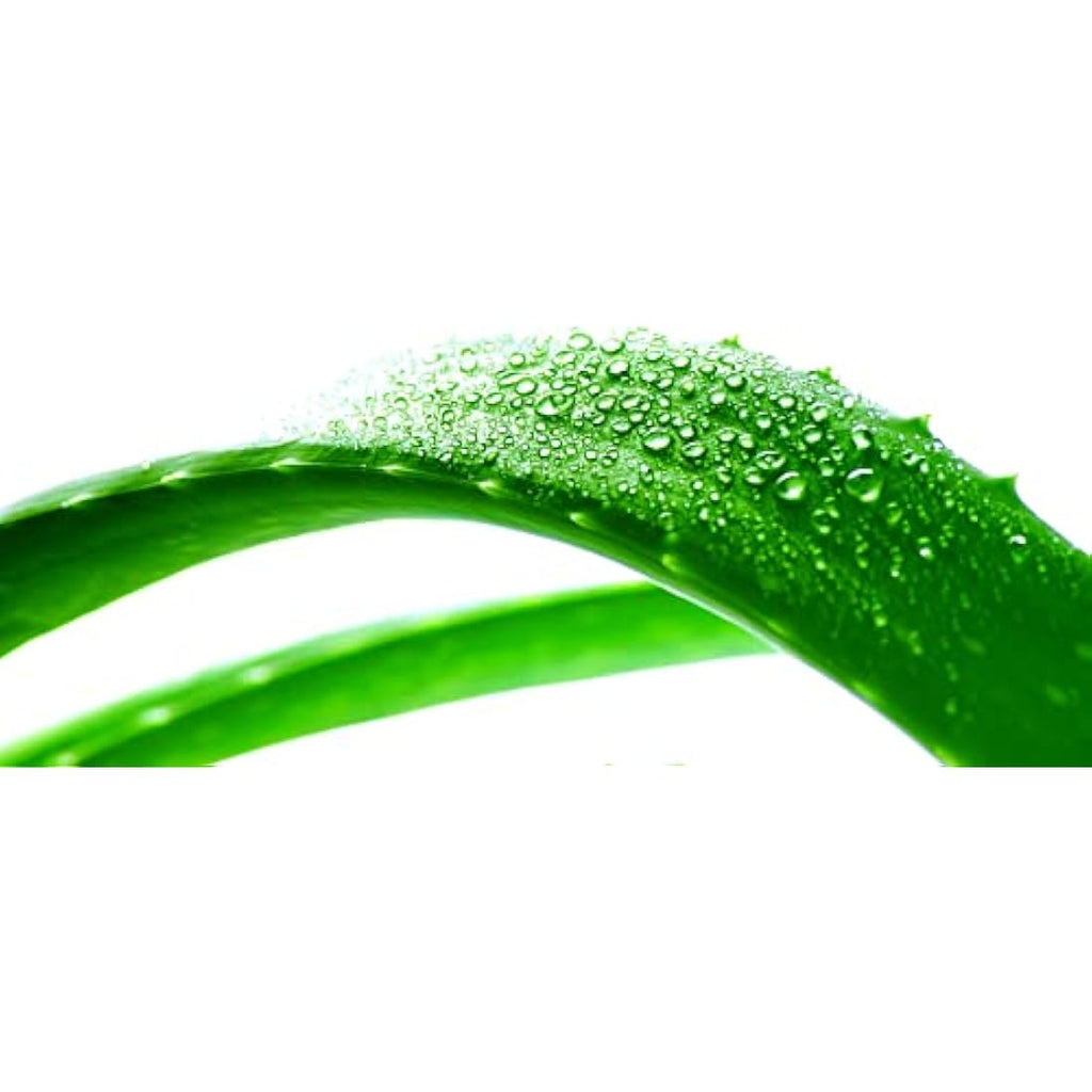 SO'BiO étic Hydra Aloe Vera Hypoallergenic Moisturizing Cream - 100ml