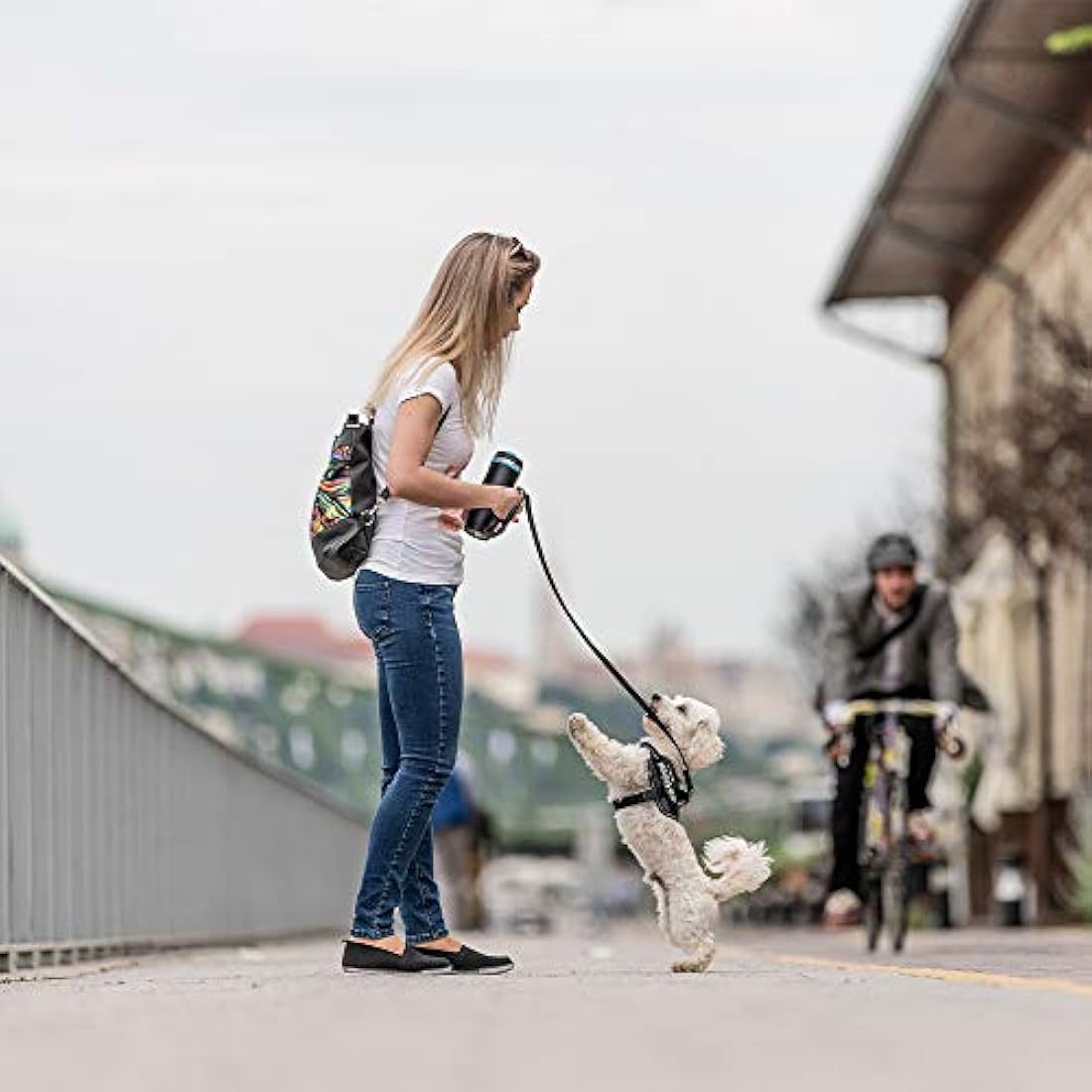 IDC Powerharness Dog Harness | Durable Reflective Gear - Black, Size XL/2