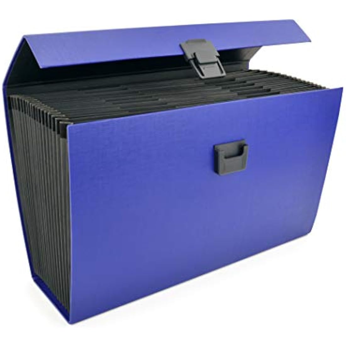 Rapesco 19-Part Expanding Box File Document Organiser, A4+, Blue