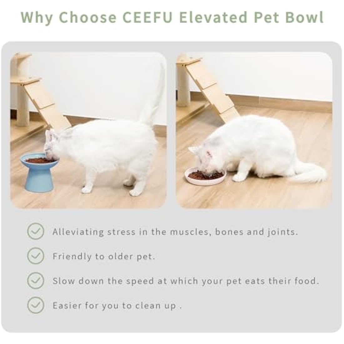 CEEFU Elevated Ceramic Cat Bowls – Wide Whisker-Friendly Food & Water Set