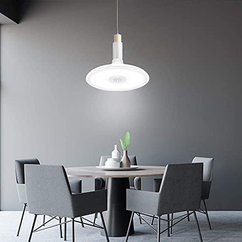 RGB Bathroom Ceiling Light with Bluetooth Speaker – IP65 18W
