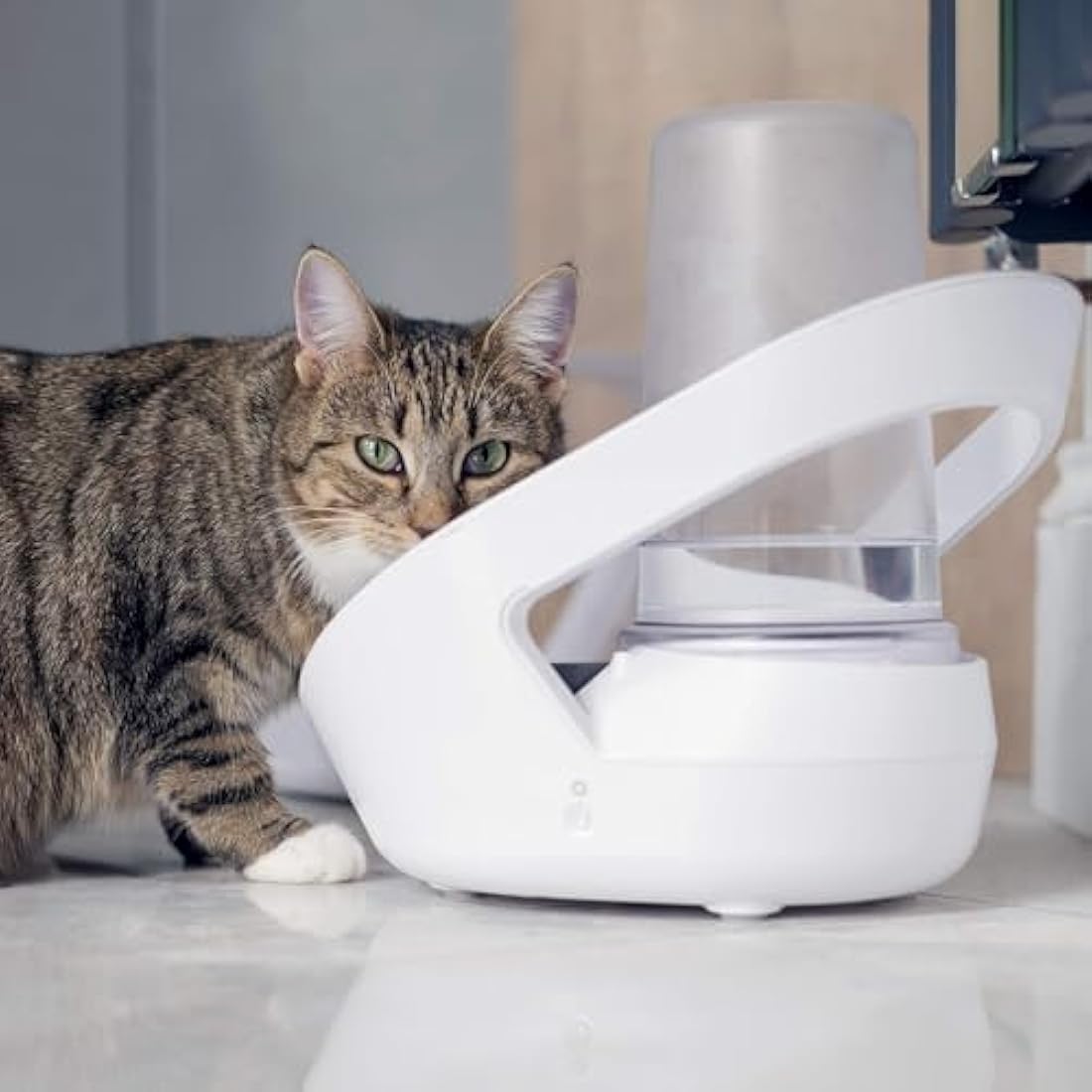 Sure Petcare Felaqua Connect – Smart Microchip Cat Water Fountain