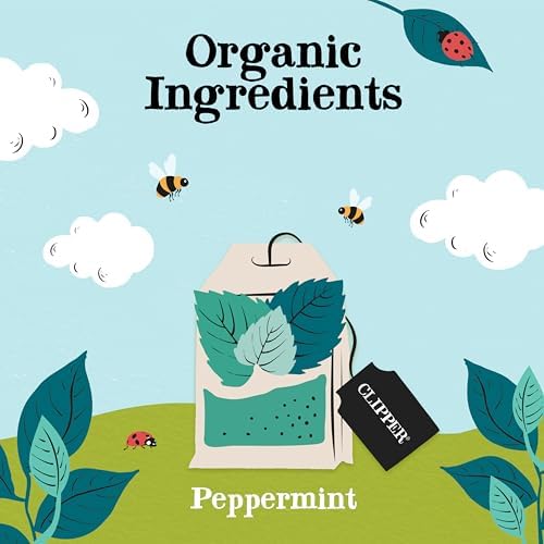 Clipper Organic Peppermint Tea - 250 Caffeine-Free Wrapped Bags