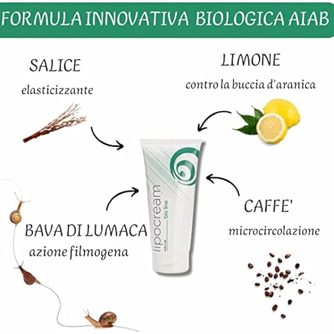 Nuvo' Snail Mucin Anti-Cellulite Hot Cream – Organic Firming Body Treatment