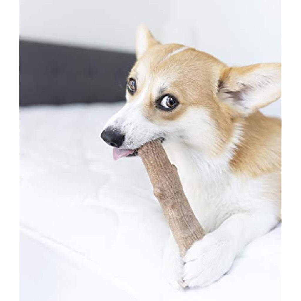 Petstages Dogwood Durable Wood Alternative Dog Chew Toy - Medium Stick