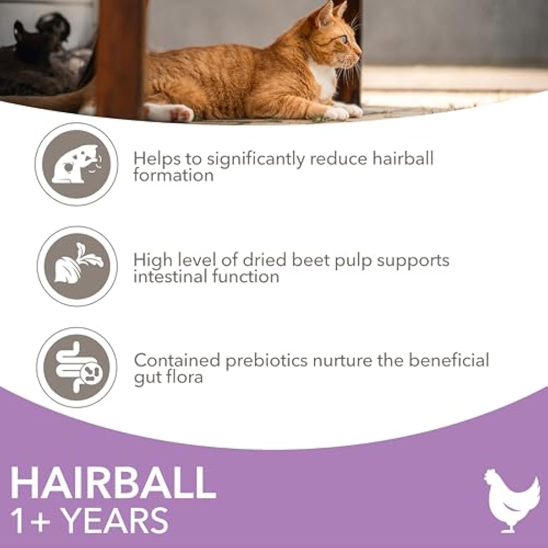 IAMS Hairball Control Dry Cat Food – Chicken Recipe – 10kg Bag