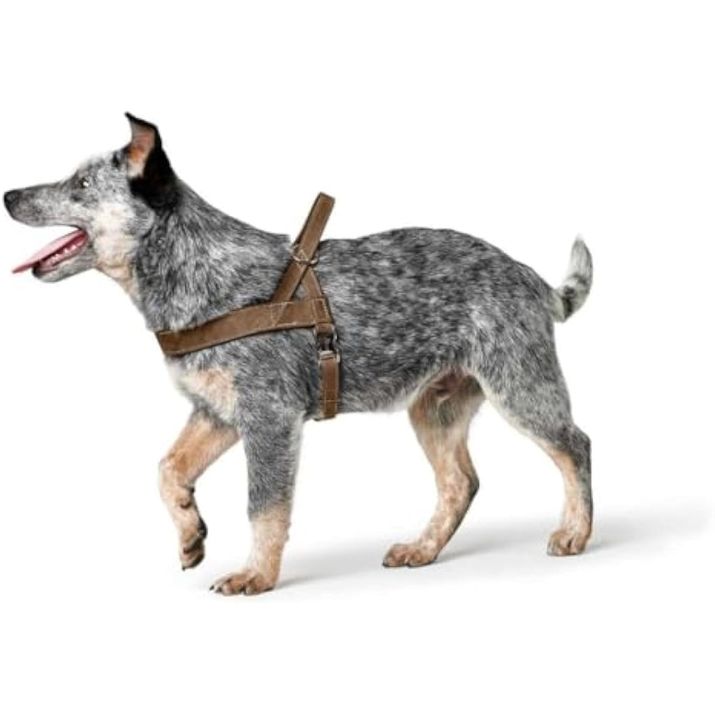 Hunter Norwegian Dog Harness – Brown Hunting Style, 60 x 77-110 cm
