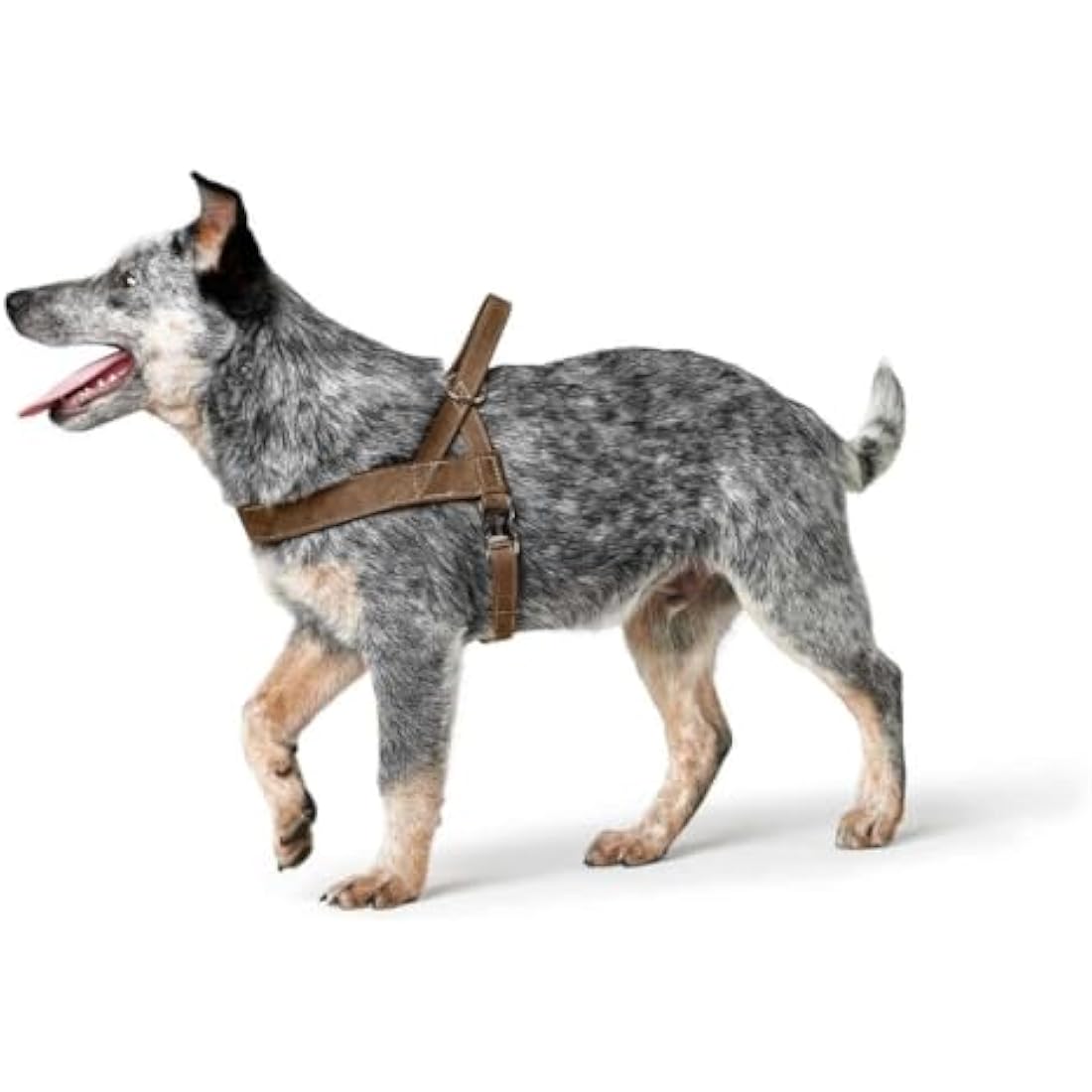 Hunter Norwegian Dog Harness – Brown Hunting Style, 60 x 77-110 cm