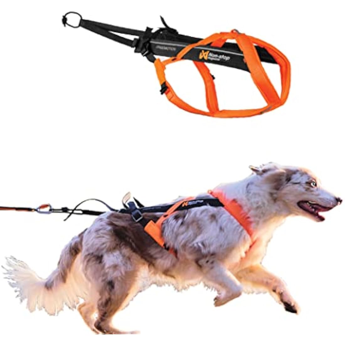 Non-stop dogwear Freemotion 5.0 Dog Pulling Harness - Orange/Black