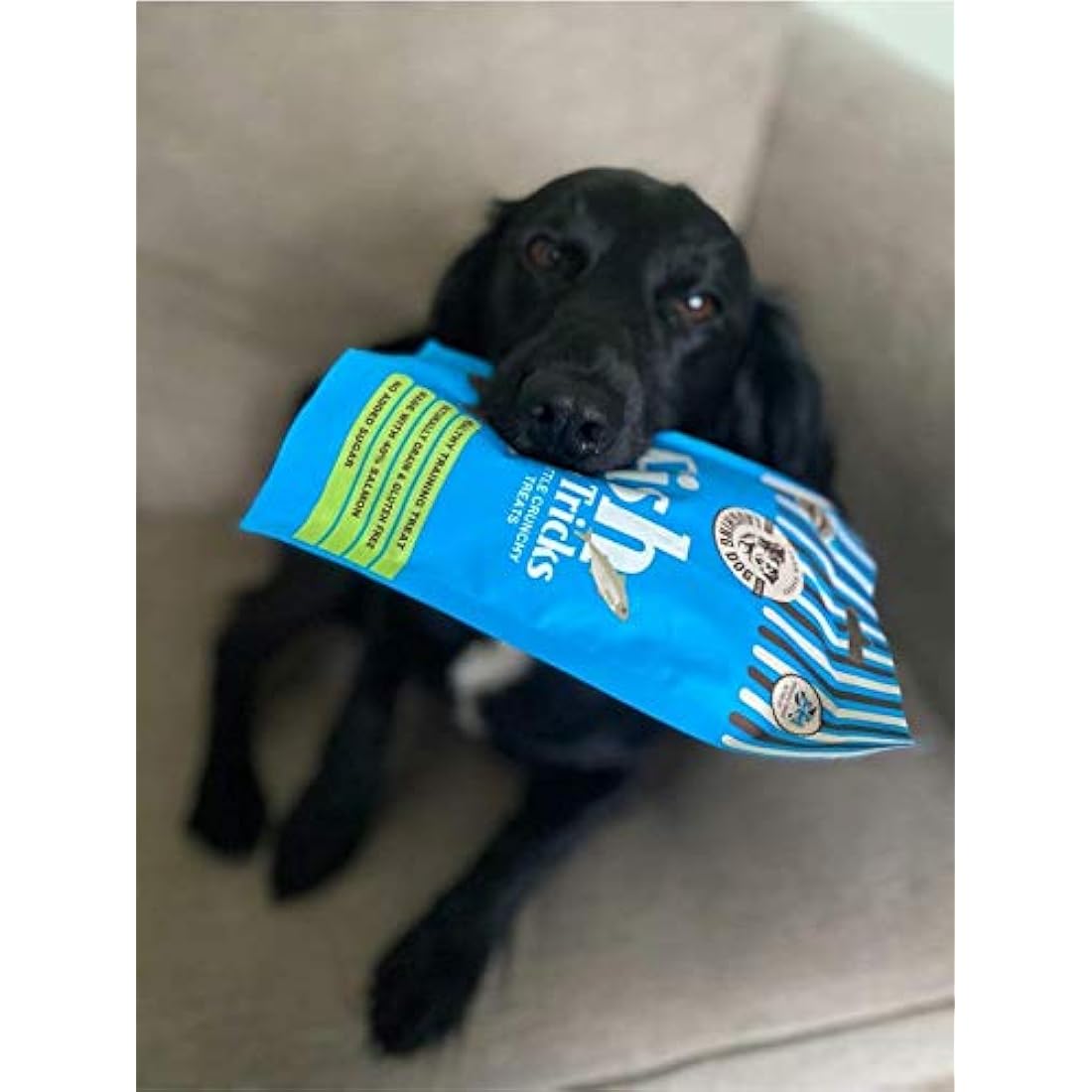 Laughing Dog Fish & Tricks Grain Free Salmon Training Treats – 125g
