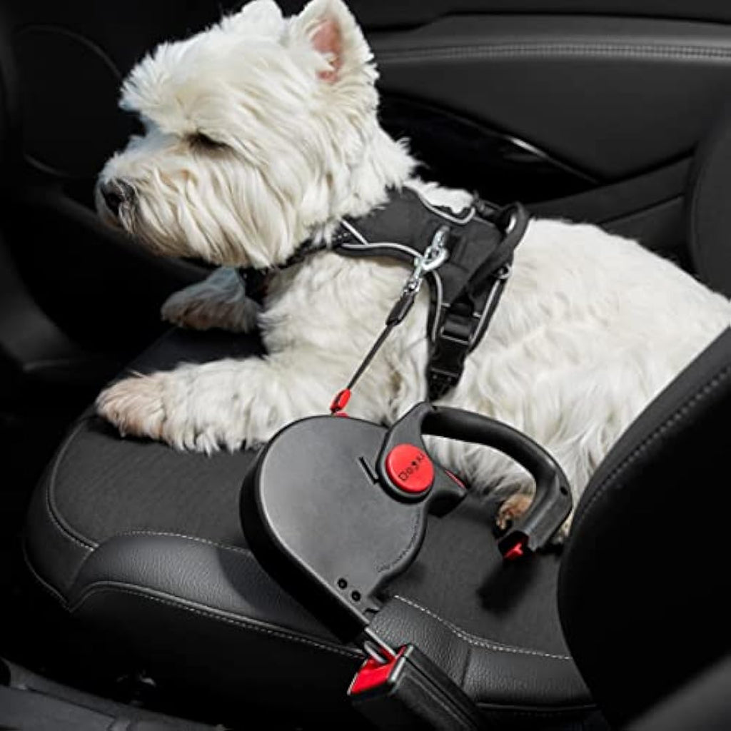 5m Retractable Dog Lead with Car Seatbelt Buckle