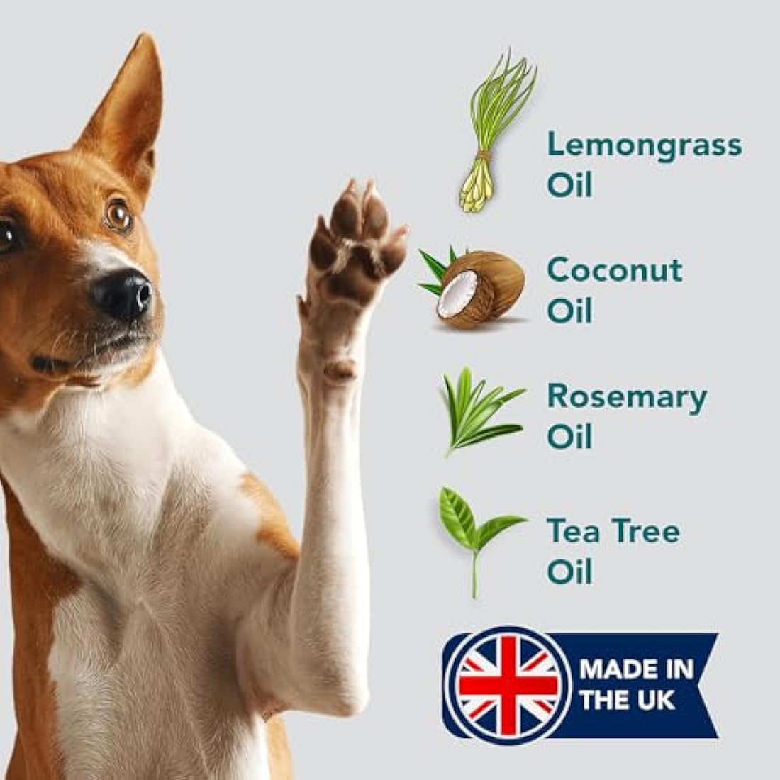 The Healthy Dog and Cat Co. Natural Flea Shampoo – Vegan Quassia Wash