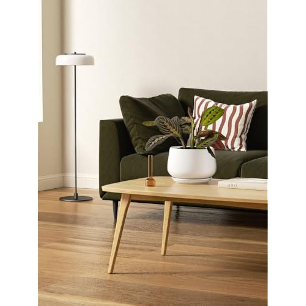 LE TAUCI Ceramic Plant Pots - Set of 3 Modern Indoor Planters, White