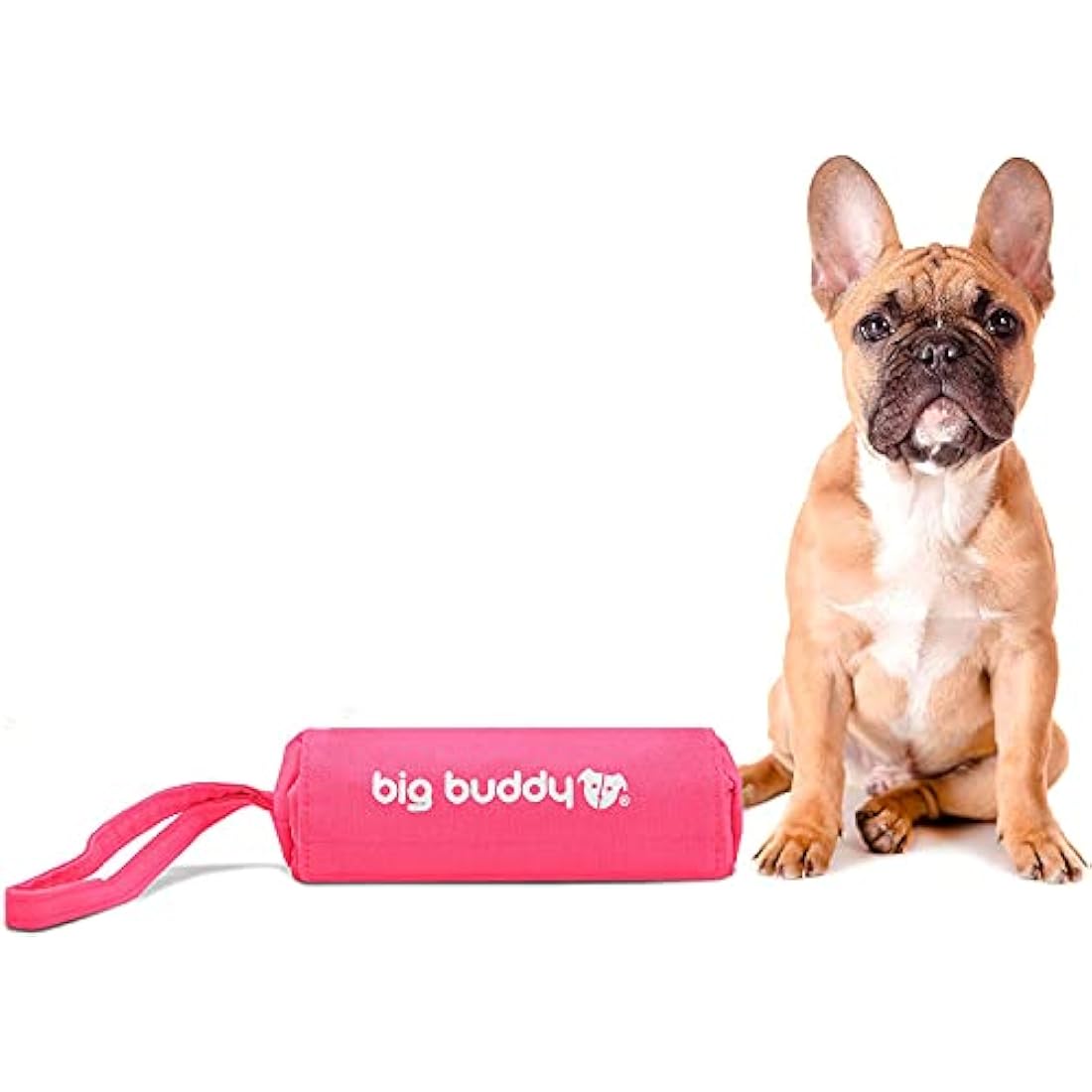Big Buddy Canvas Dog Training Treat Dummy – Pink Retrieval Fetch Bag