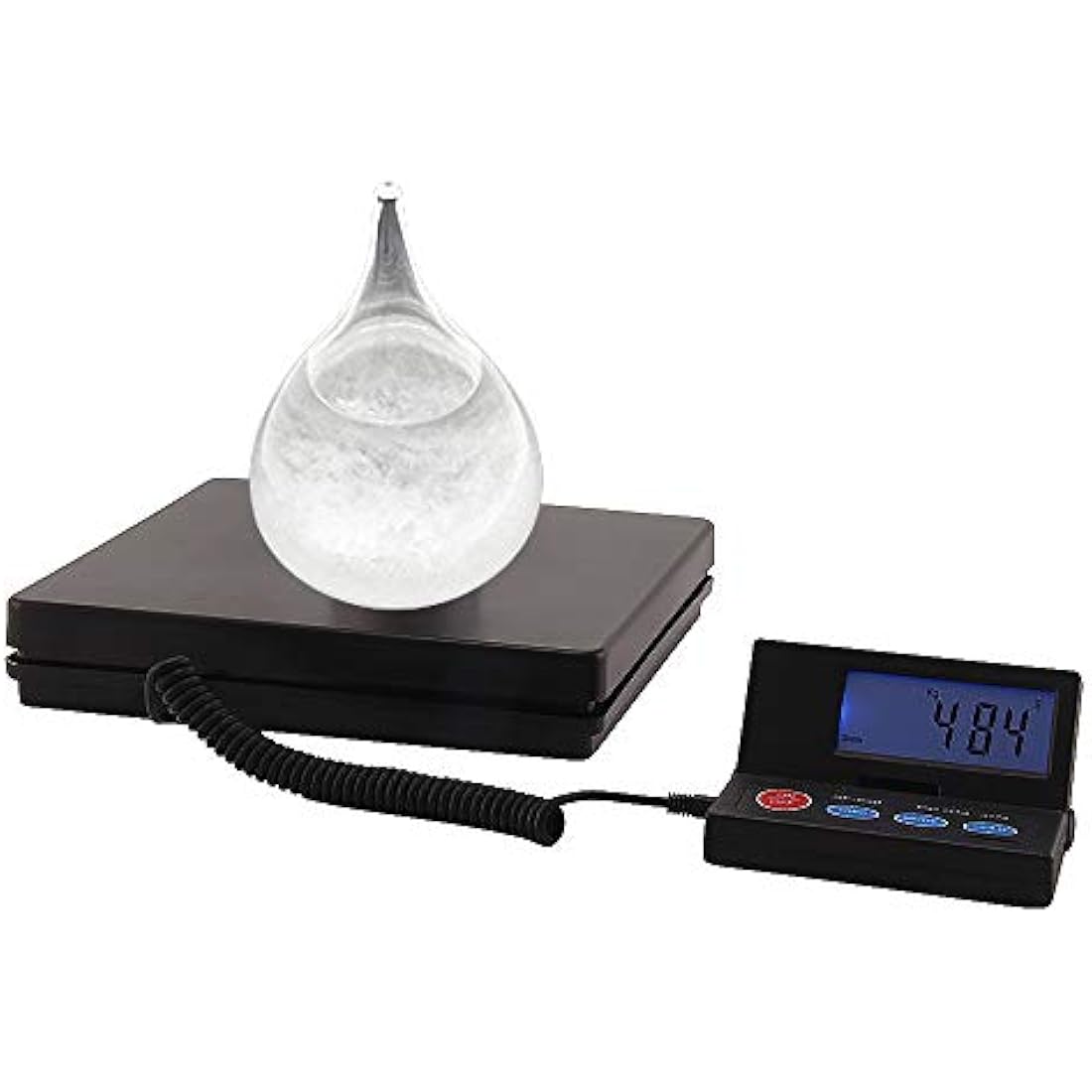 Digital Parcel Scale | 50kg/110lb Heavy Duty Postal Scale