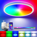 Peasur Smart RGB LED Ceiling Light - 24W Dimmable Flushmount Fixture