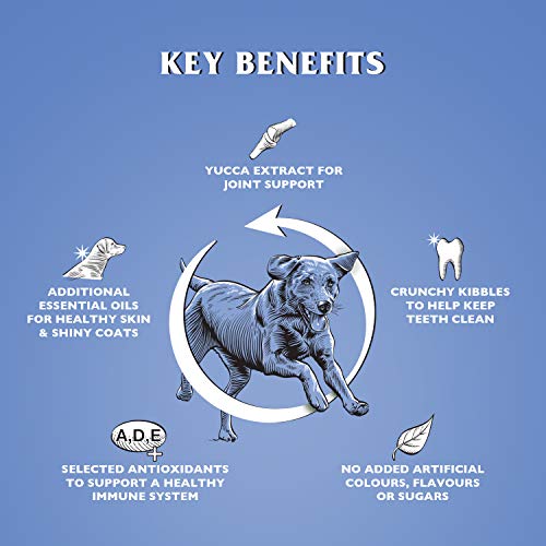 Dr John Silver Chicken & Vegetable Dry Dog Food - 15kg Adult & Senior