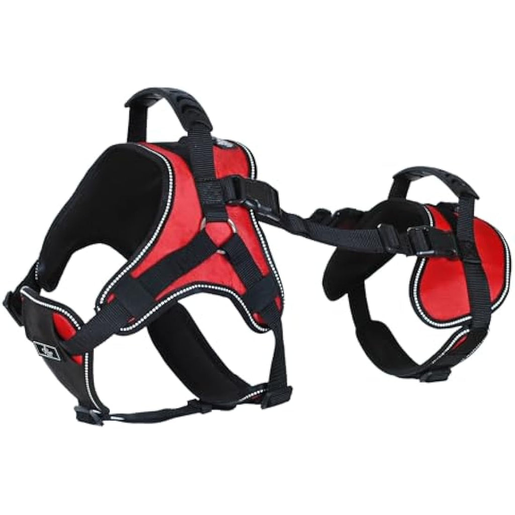 Doggie Stylz Full-Body Lifting Dog Harness | Multi-Functional Support – L