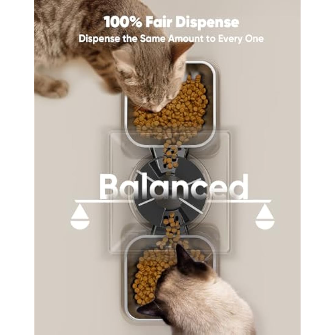oneisall 5L Automatic Cat Feeder for 2 Cats | Timed Dual Food Dispenser