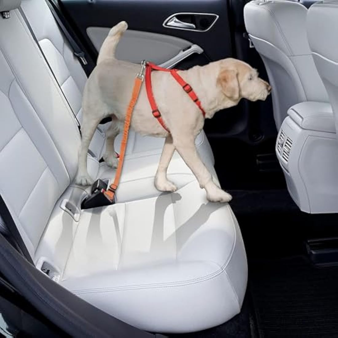 Dog Car Seat Belt – Adjustable Nylon Bungee Buffer, Orange, 2 Pack
