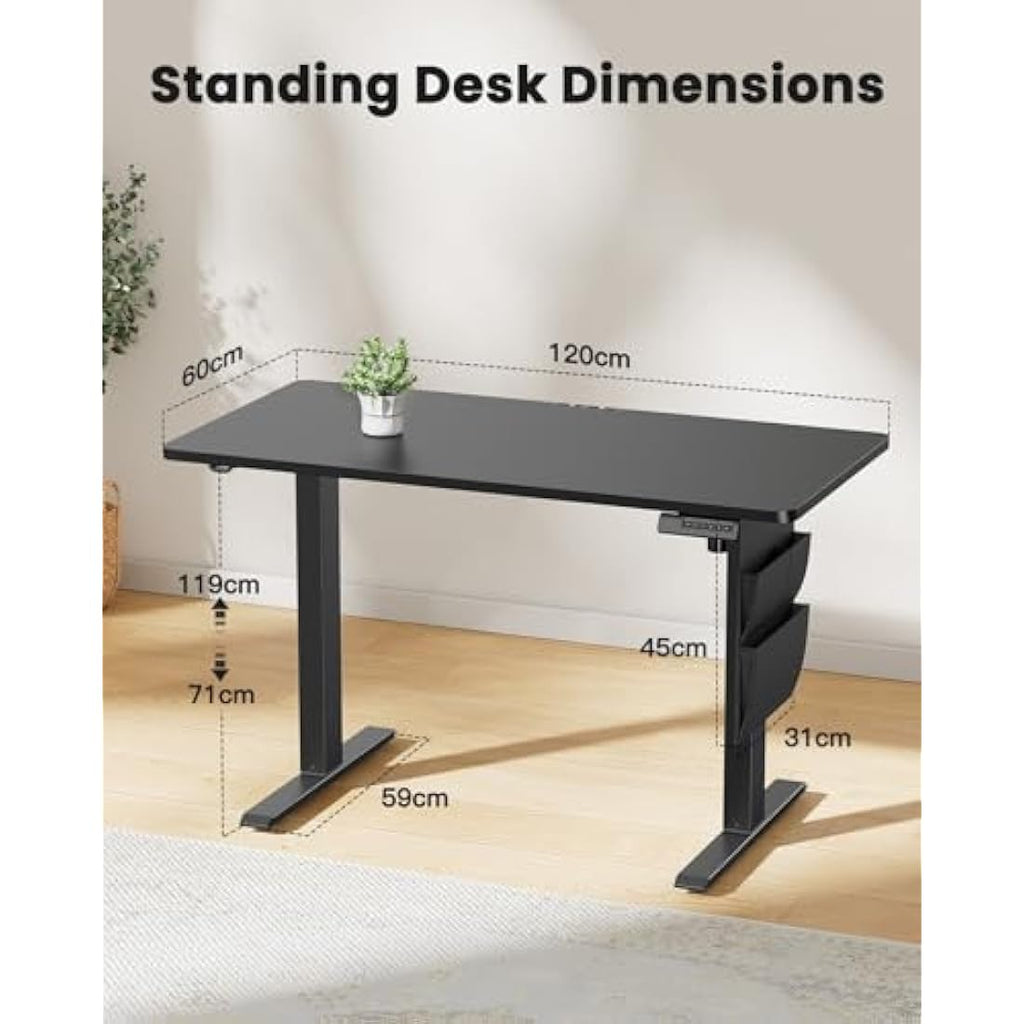ErGear Electric Standing Desk | 120x60cm Height Adjustable Sit Stand Desk