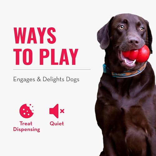 KONG Rewards Ball – Durable Interactive Treat Dispensing Toy for Large Dogs